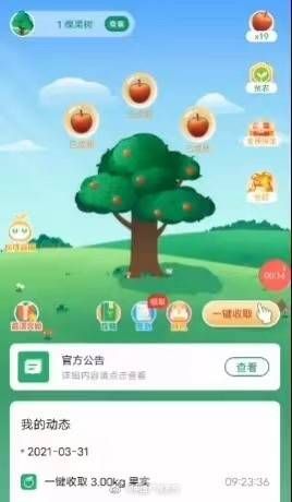 覆盖天空的果实: 用智慧与策略保卫我们的果园免受入侵,全新游戏让你守卫至最后一刻